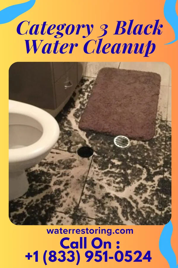 Category 3 Black Water Cleanup in Clintonville, WI