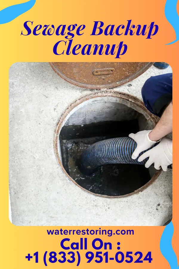 Sewage Backup Cleanup in Clintonville, WI